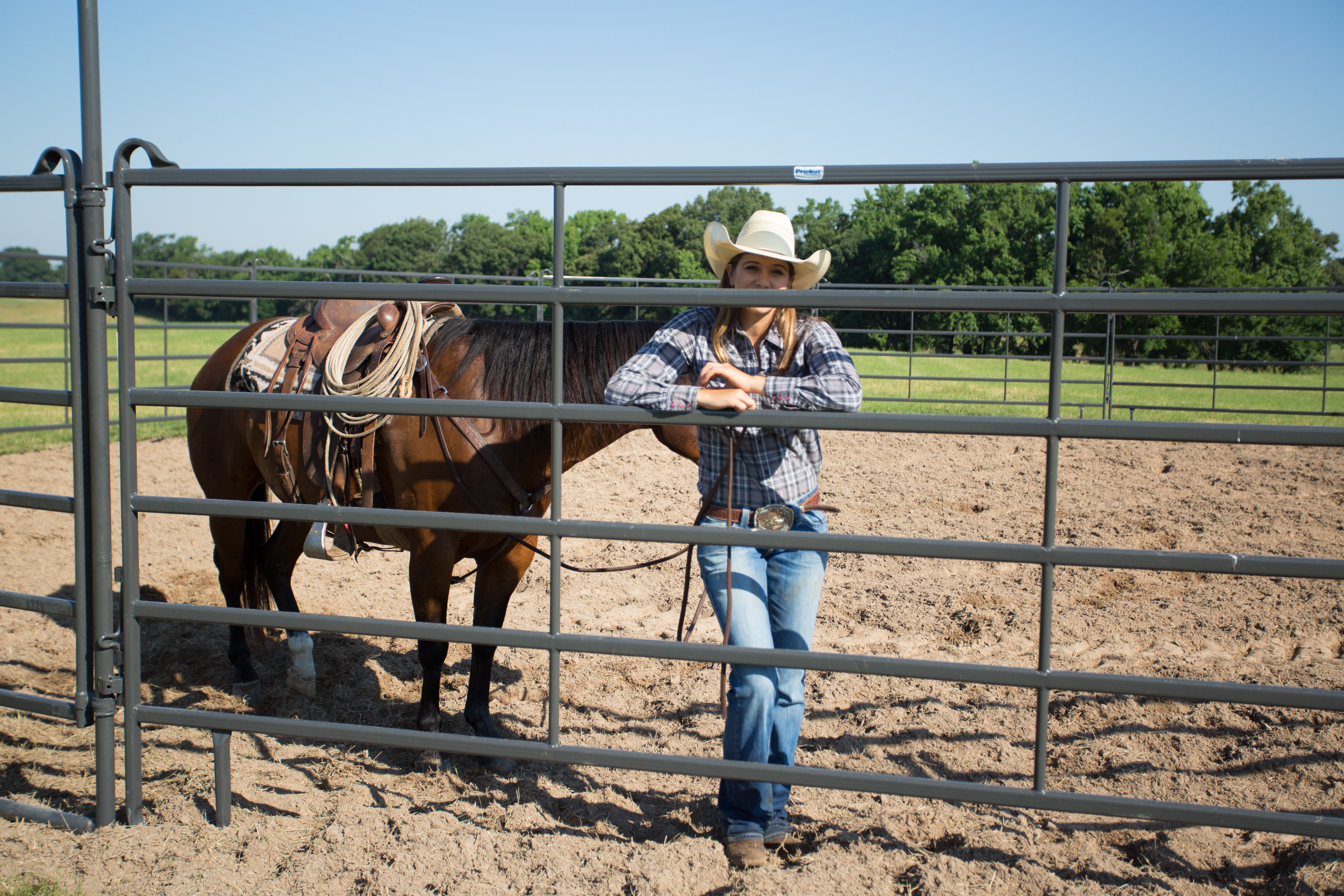 Premier Tall Round Pen PPT50 57.jpg